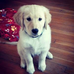 27356198_10215124764173402_8556566438402409638_o