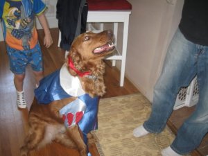 And yes…we also Disney-fi our dog