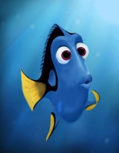 confused dory