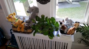 Pictured: My friends