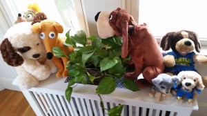 Trusty - don't even think about it. 