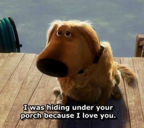 hiding under your porch dug