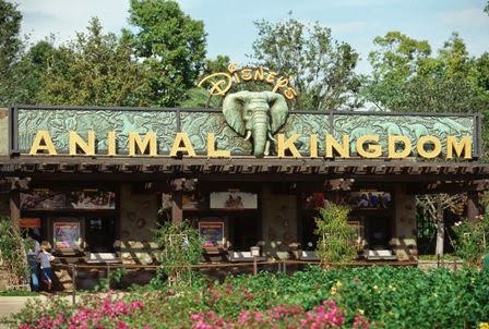 animal kingdom