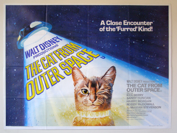 cat from outer space.jpg