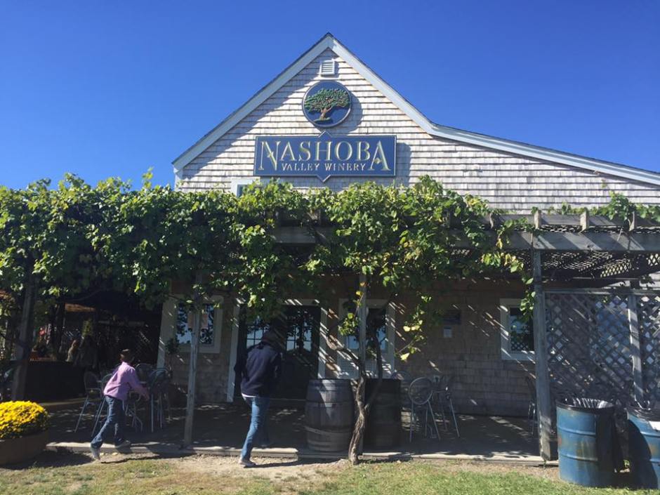 14441179_10210313147295794_7793016606436781839_n