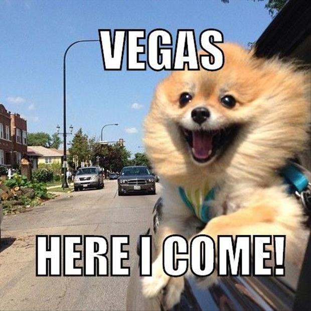 VEGAS HERE I COME.jpg