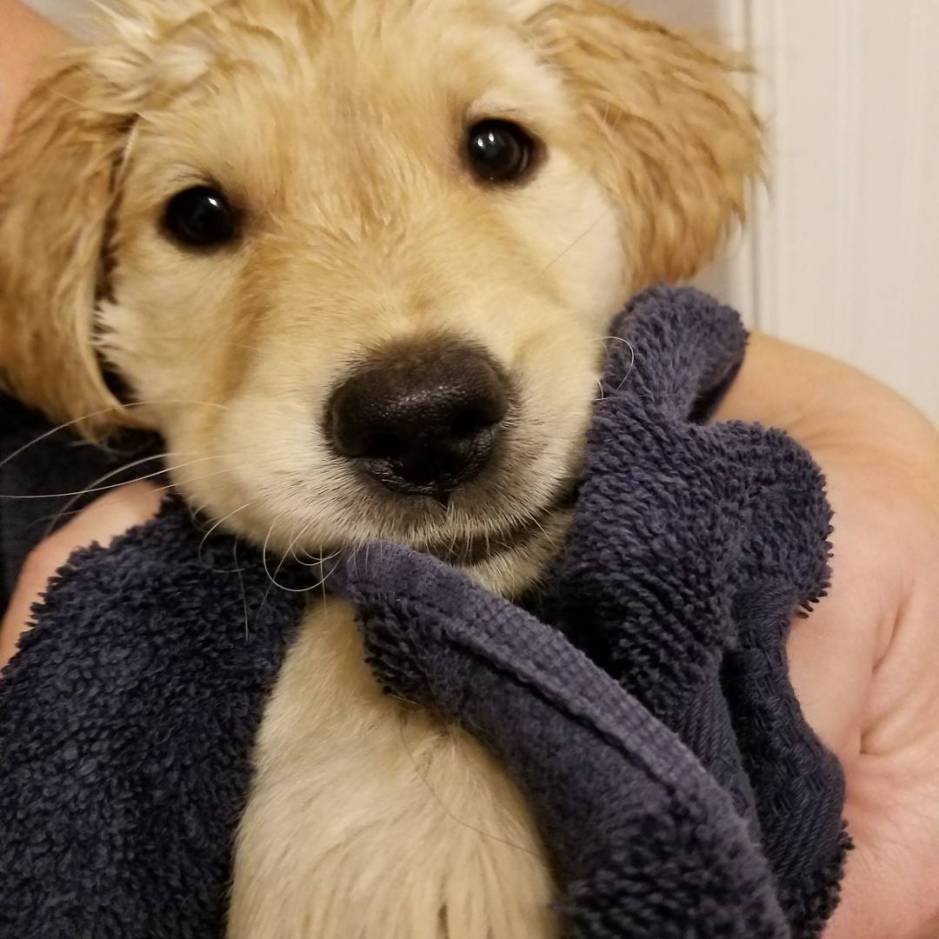 26233177_10214916715212308_1411626440509155773_o