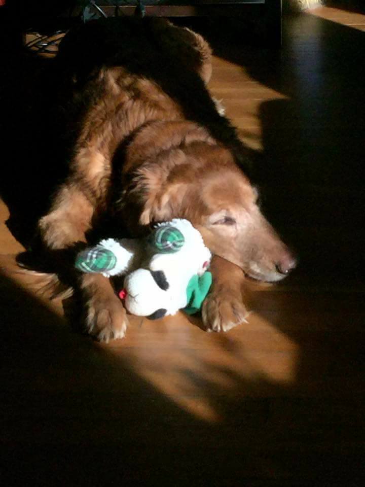 26991644_10215129130122548_5908844993877775471_n