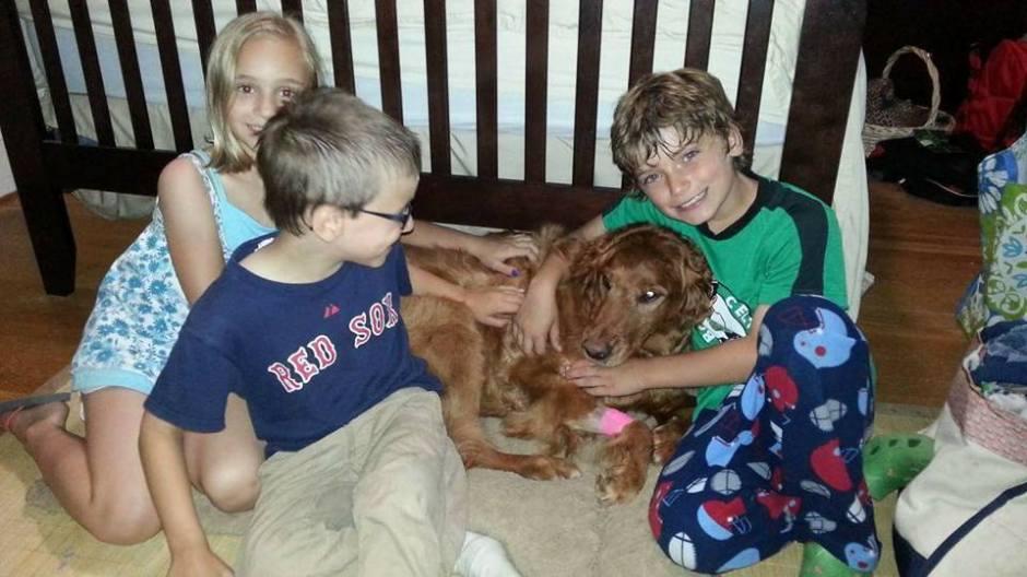 26993633_10215129127562484_2396563378633309186_n