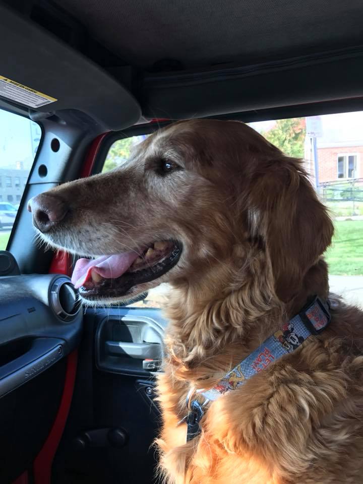 27072585_10214873830990036_1019482147095774576_n