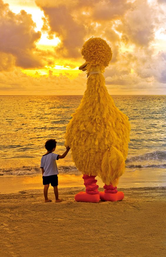big bird