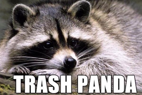 TRASH PANDA