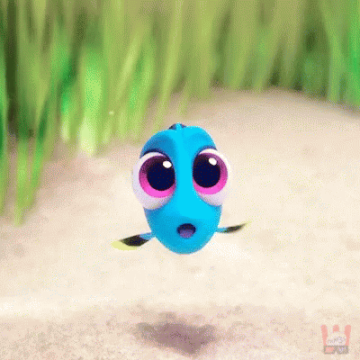 BABY DORY.gif
