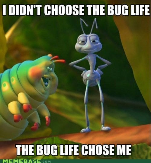 BUGS LIFE.jpg