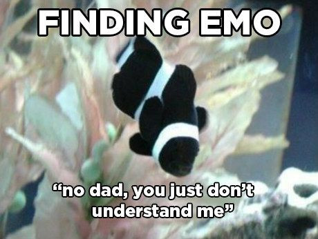 Awesome finding nemo meme 100 Disney Memes That Will Keep You Laughing For Hours
