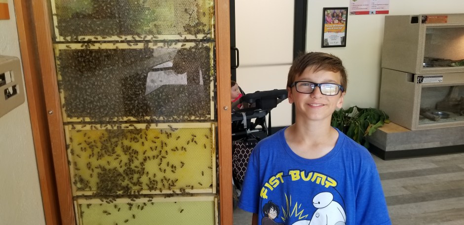 owen and bees