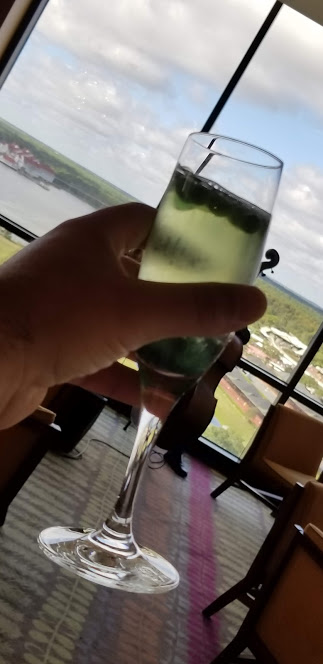 HOLDING MIMOSA DAY 10 2018