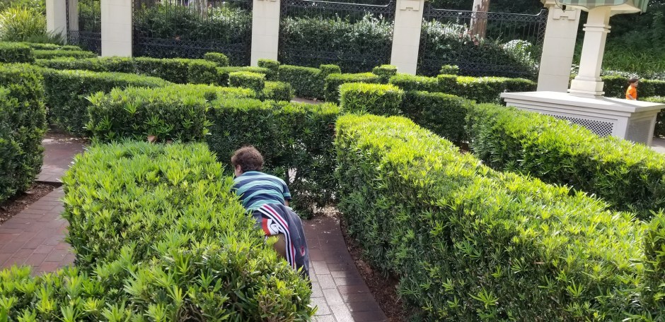 MYLES HEDGE MAZE.jpg