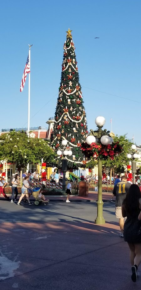 TREE.jpg