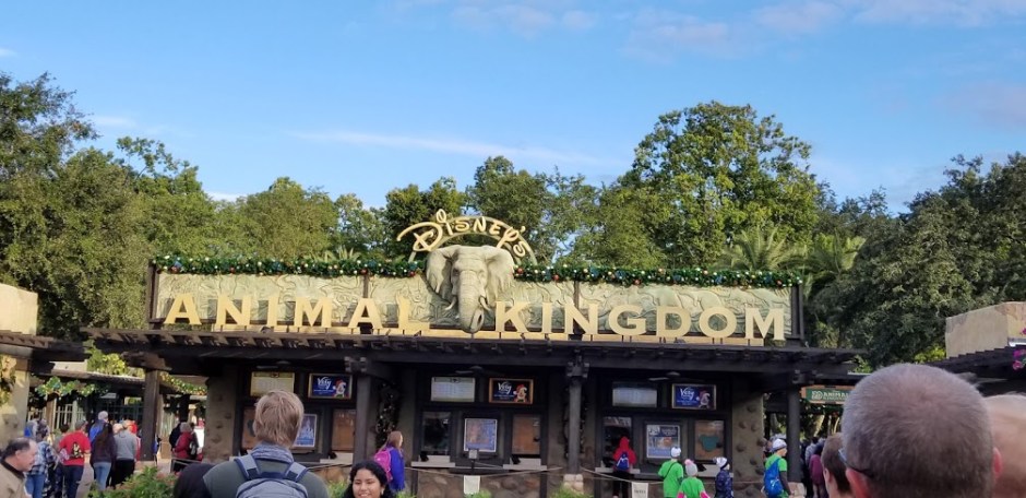 ak sign 1 day 12 2018