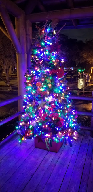 CROCKETTS TREE DAY 11 2018.jpg