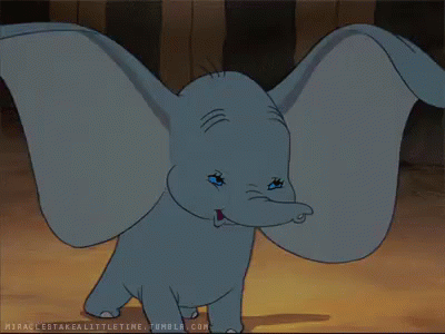 happy dumbo