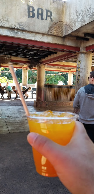 jungle juice day 12 2018