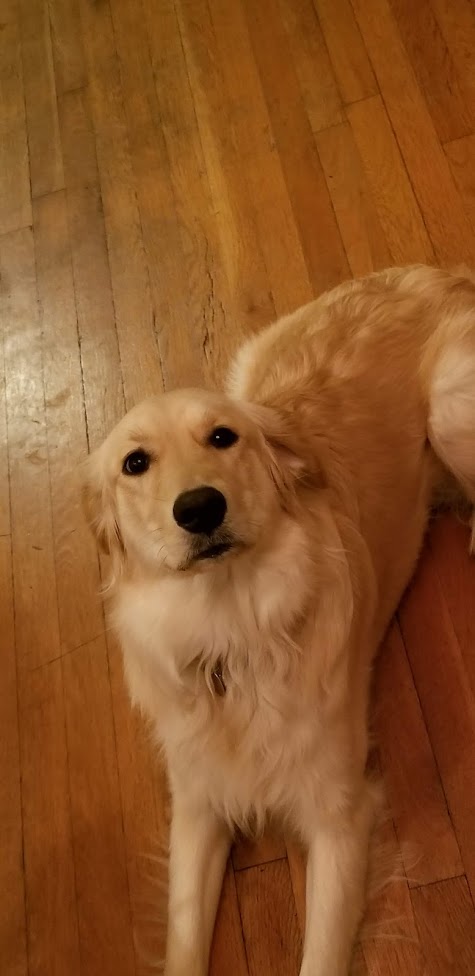 LILO DAY 15 2018.jpg