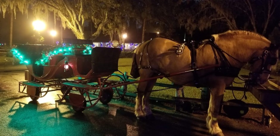 our sleigh day 11 2018