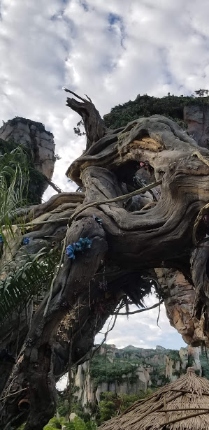 pandora 1 day 12 2018