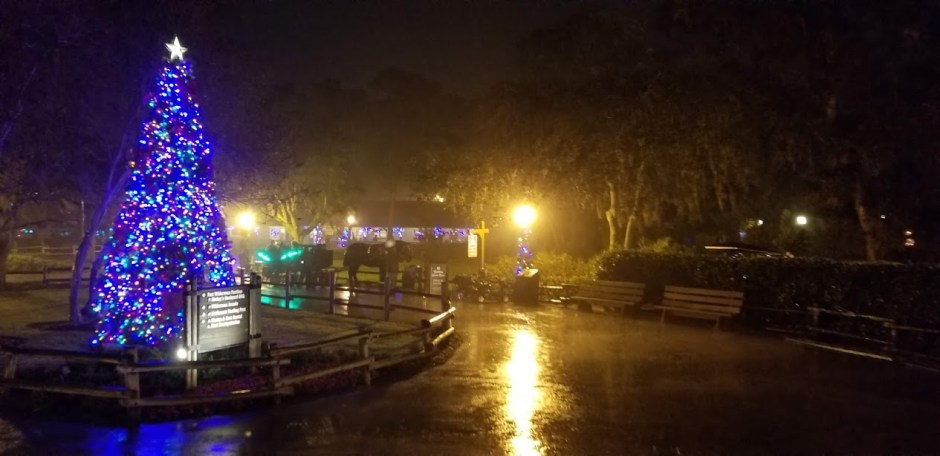 RAIN DAY 11 2018.jpg