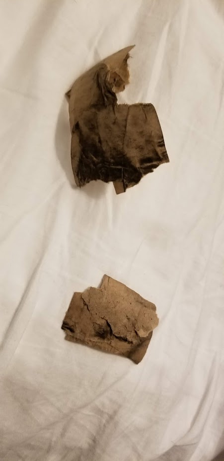 SHRAPNEL DAY 14 2018.jpg