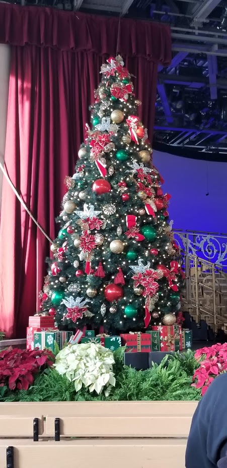 TREE CP DAY 14 2018.jpg