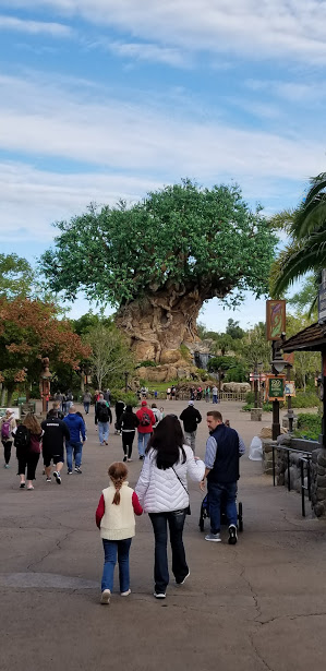 tree of life 1 day 12 2018