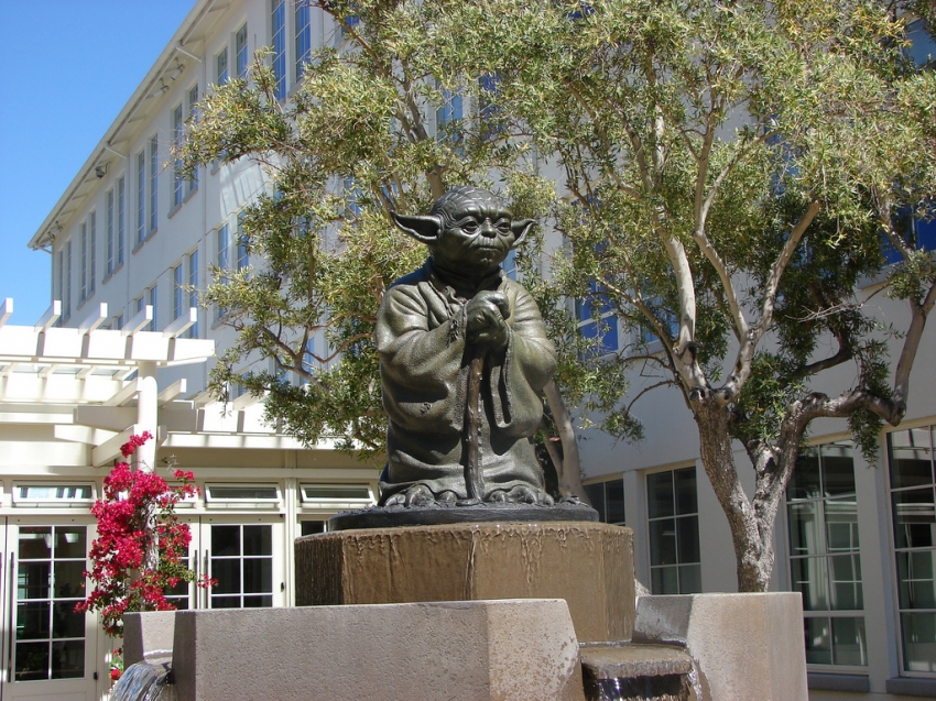 YODA SF PRE TRIP 2 2019.jpg