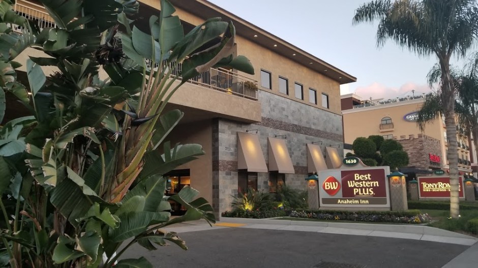 HOTEL SOLO TRIP 3-19.jpg