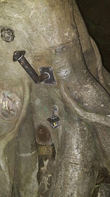 INDY HOUSE SOLO TRIP 3-19.jpg