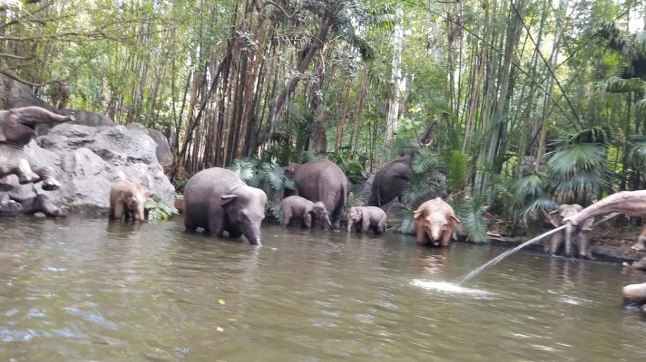 JUNGLE CRUISE 3 SOLO TRIP 3-19