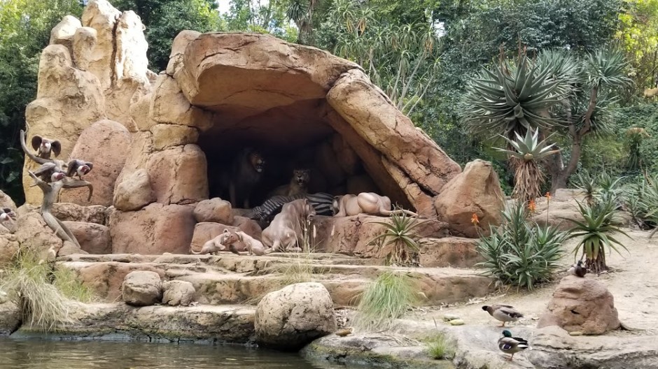 JUNGLE CRUISE 5 SOLO TRIP 3-19