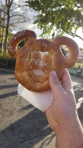PRETZEL SOLO TRIP 3-19.jpg