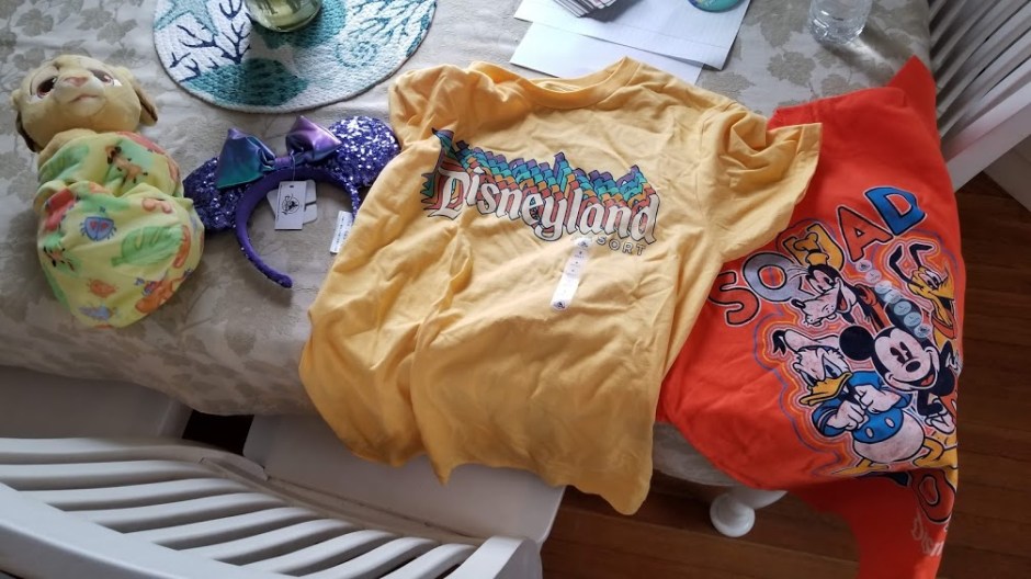 SOUVENIRS SOLO TRIP 3-19.jpg