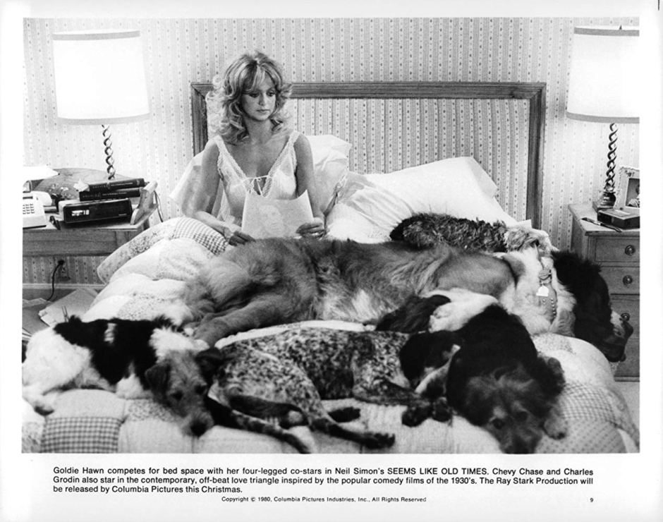 DOGS CA TRIP DAY 7 PRE TRIP.jpg