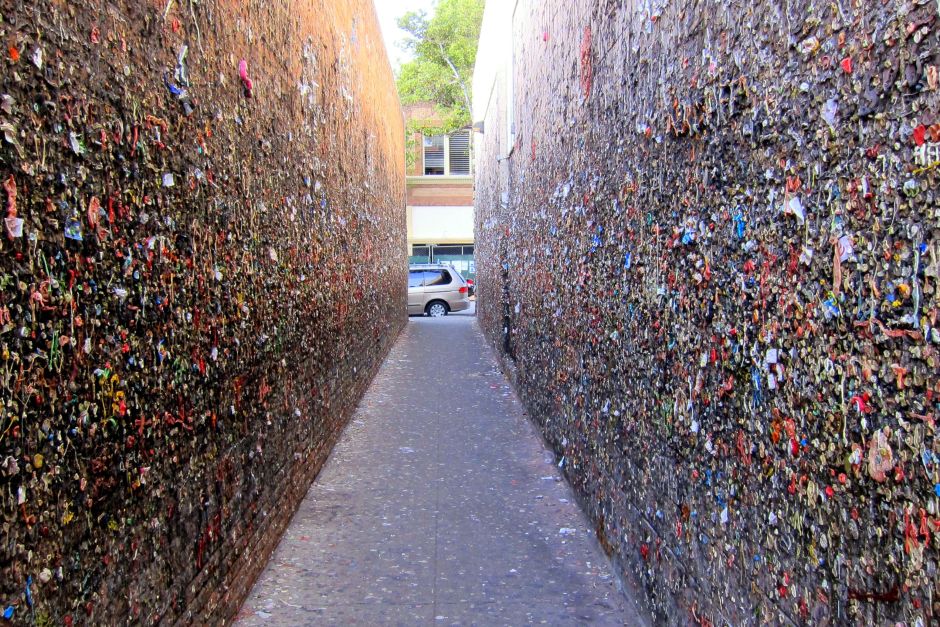 BUBBLEGUM DAY 9 CA TRIP PRE TRIP.jpg