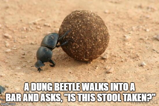 DUNG MEME DAY 16 CA TRIP PRE TRIP.jpg