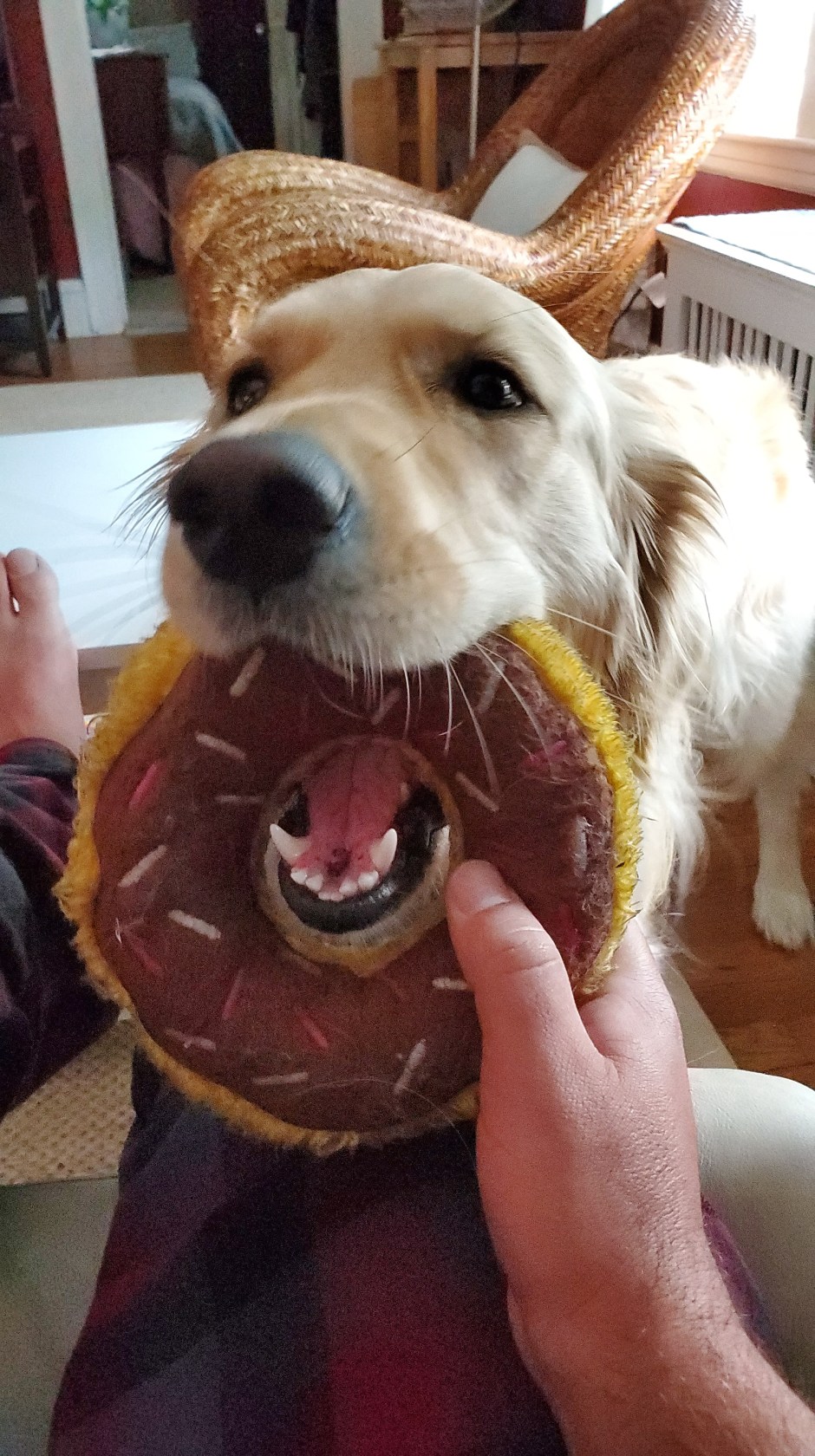 LILO DAY 14 CA TRIP PRE TRIP