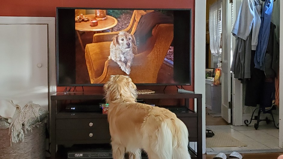 LILO DAY 16 CA TRIP PRE TRIP.jpg