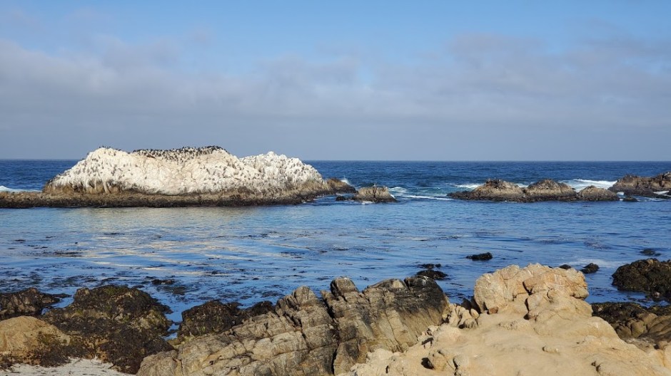 17 MILE 4 DAY 7 CA 2019.jpg