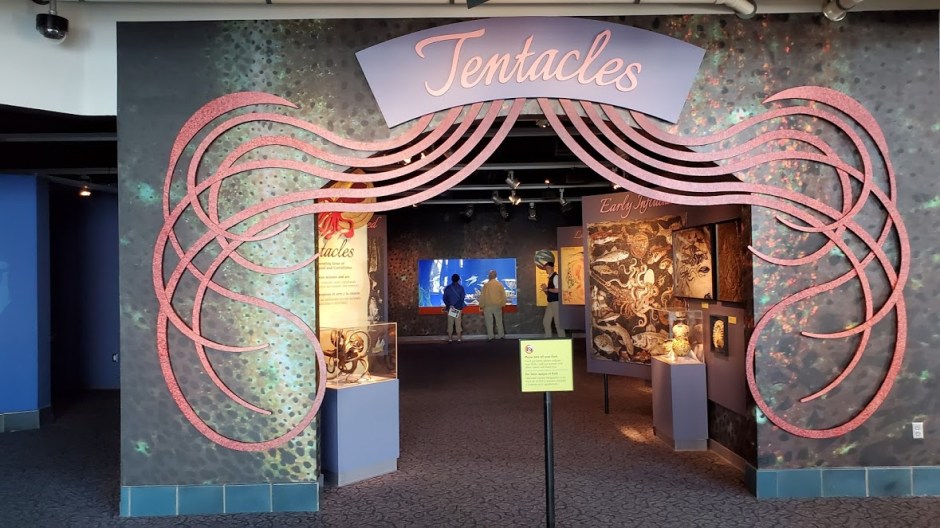 AQUARIUM 3 DAY 7 CA 2019.jpg