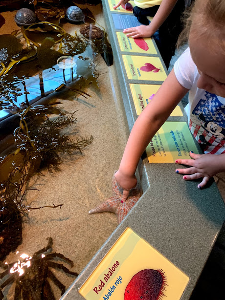 AQUARIUM 6 DAY 7 CA 2019