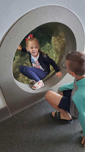 AQUARIUM 7 DAY 7 CA 2019.jpg